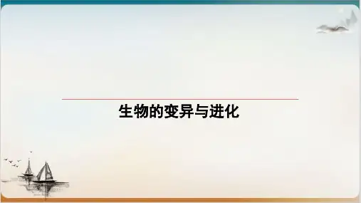 高考生物一轮复习现代生物进化理论ppt