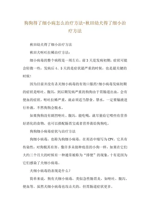 狗狗得了细小病怎么治疗方法-秋田幼犬得了细小治疗方法