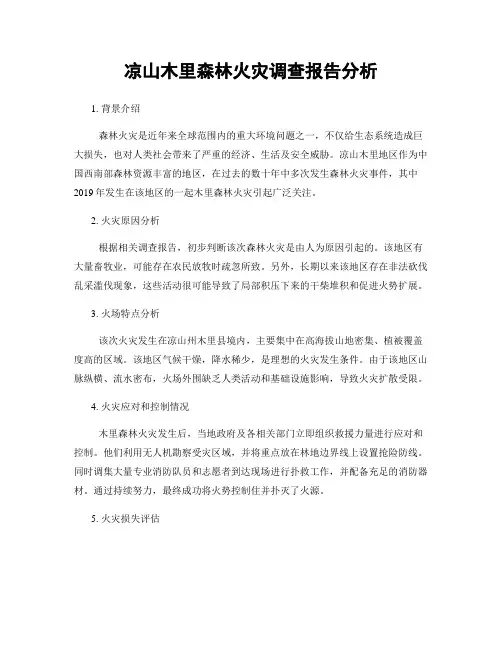 凉山木里森林火灾调查报告分析