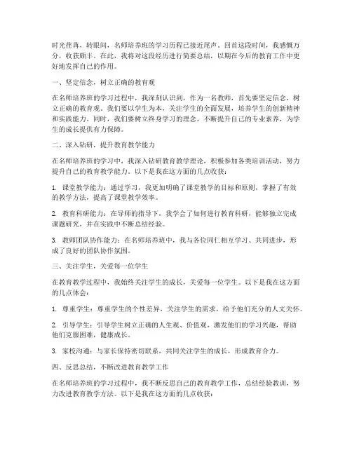 名师培养班教师总结范文