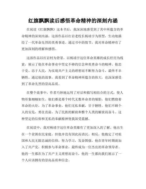 红旗飘飘读后感悟革命精神的深刻内涵