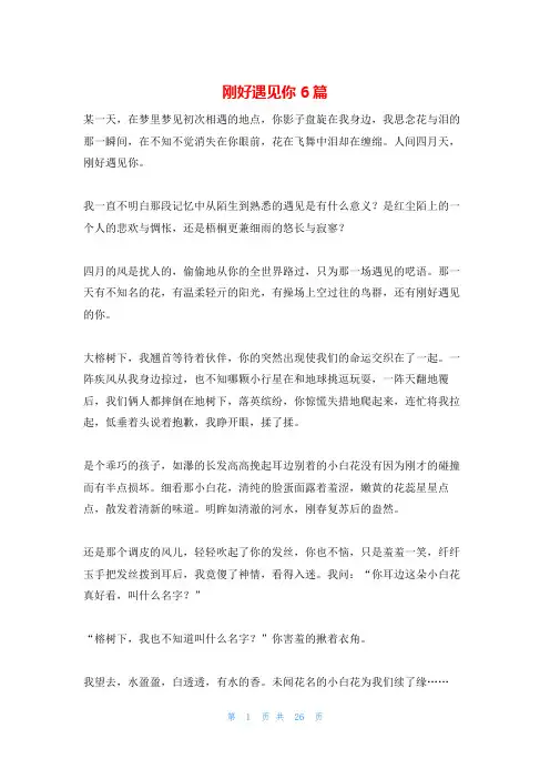 刚好遇见你6篇