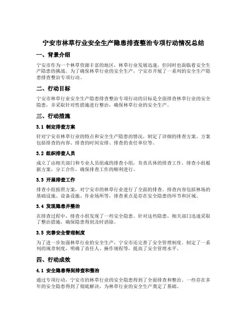 宁安市林草行业安全生产隐患排查整治专项行动情况总结