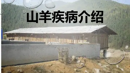 山羊疾病介绍 