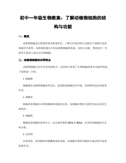 初中一年级生物教案：了解动植物细胞的结构与功能