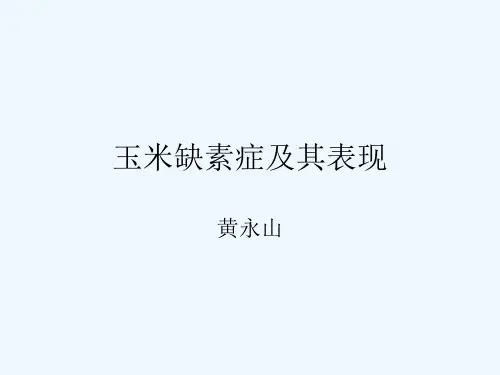 玉米缺素症及其表
