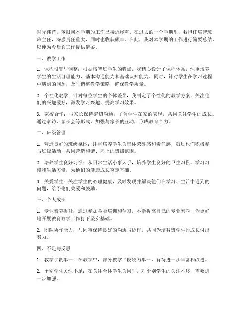 培智班个人工作总结