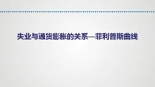 16.3菲利普斯曲线[14页]