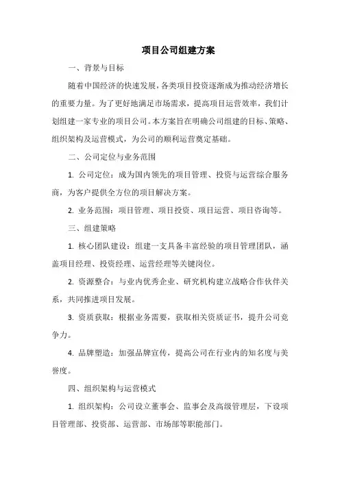项目公司组建方案