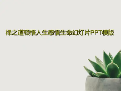 禅之道顿悟人生感悟生命幻灯片PPT模版27页PPT
