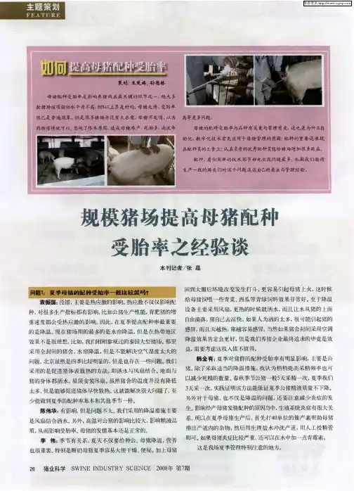 如何提高母猪配种受胎率：规模猪场提高母猪配种受胎率之经验谈