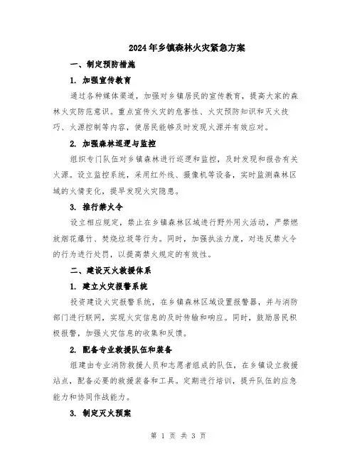 2024年乡镇森林火灾紧急方案
