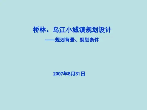 小城镇规划-实例