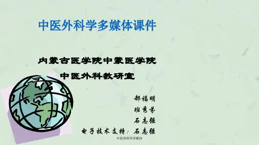 中医外科学多媒体课件