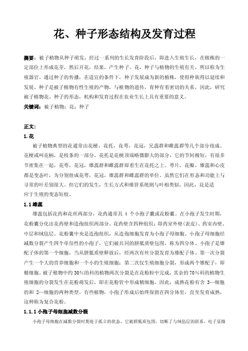 花、种子形态结构及发育过程