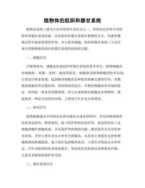 植物体的组织和器官系统