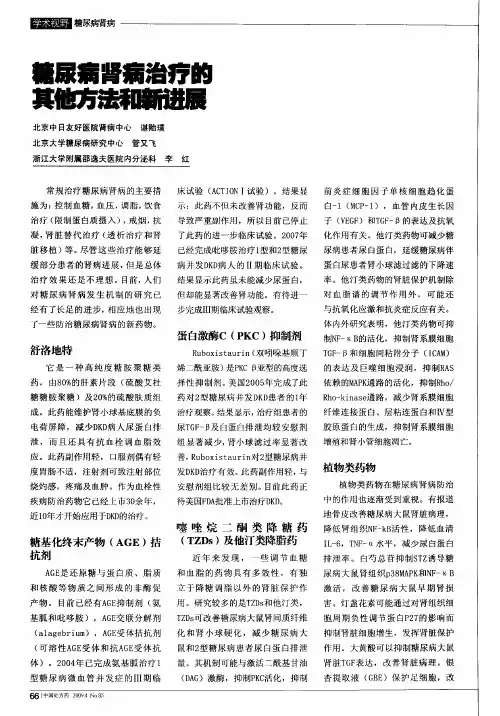 糖尿病肾病治疗的其他方法和新进展