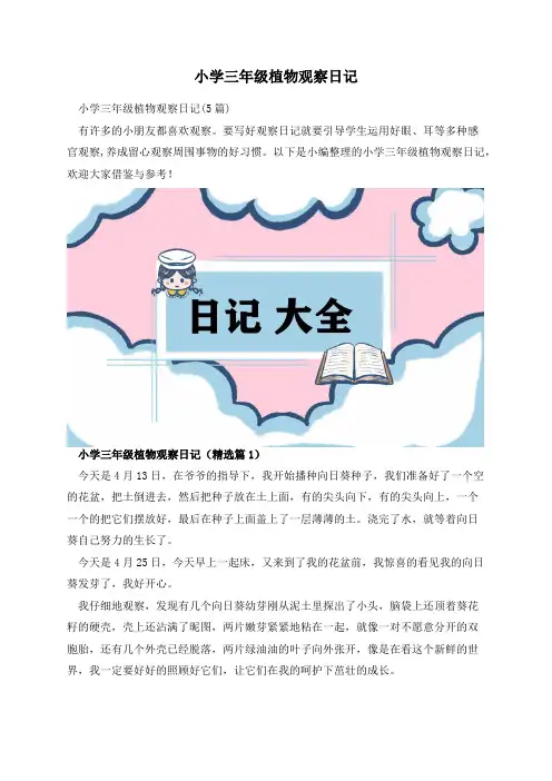 小学三年级植物观察日记