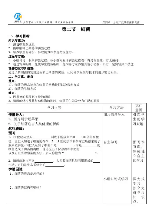 八年级上册生物导学案 5.4.2《细菌》人教版