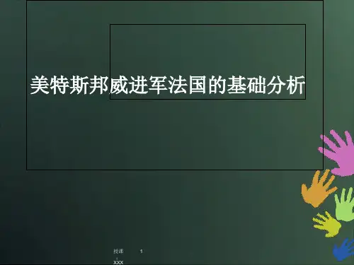 法国环境分析PPT课件