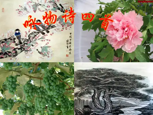 咏物诗四首ppt13 课件
