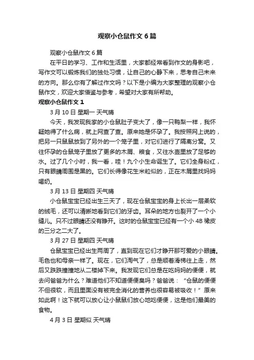 观察小仓鼠作文6篇