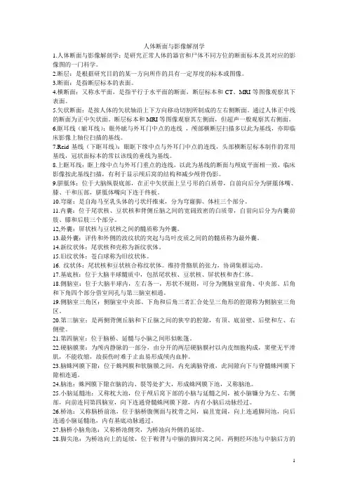 人体断面与影像解剖学