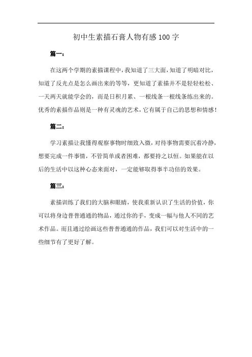初中生素描石膏人物有感100字