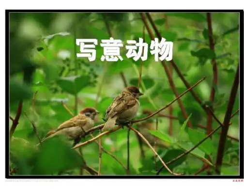 第10课：写意动物(6个课件合集)
