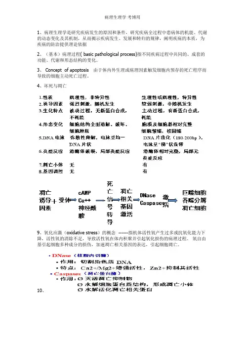 病理生理学 考博用