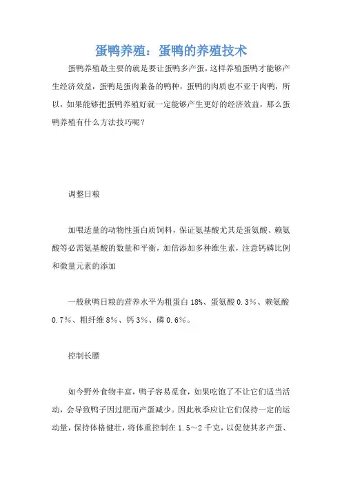蛋鸭养殖：蛋鸭的养殖技术
