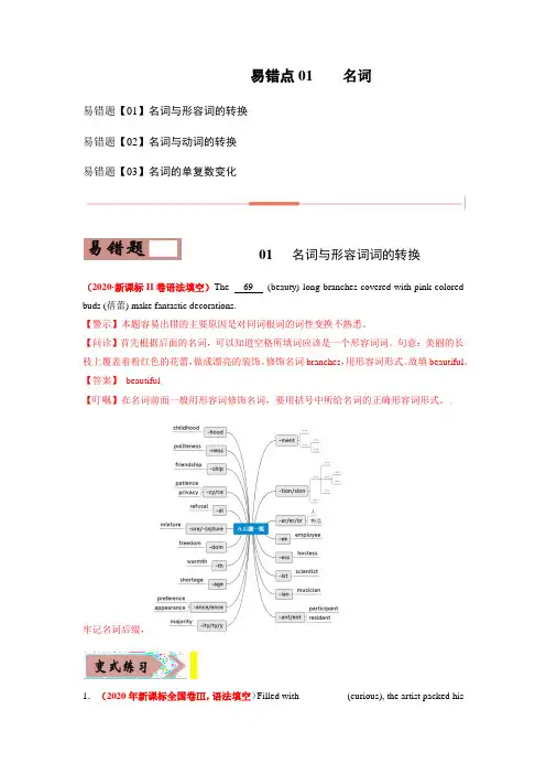 易错点01 名词 -备战2022年高考英语考试易错题(解析版)