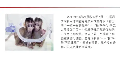 (2019人教版 必修一)3.3细胞核的结构和功能