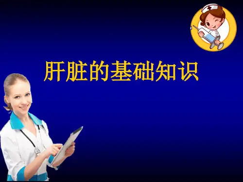 肝脏的基础知识ppt课件