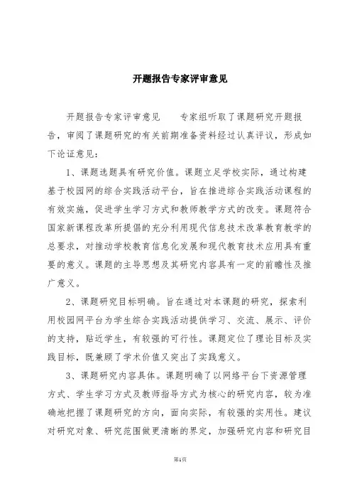 开题报告专家评审意见