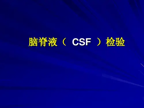 脑脊液 PPT课件