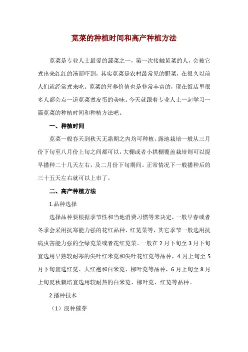 苋菜的种植时间和高产种植方法