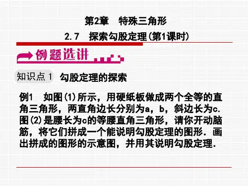 探索勾股定理(第1课时)课件(浙教版)