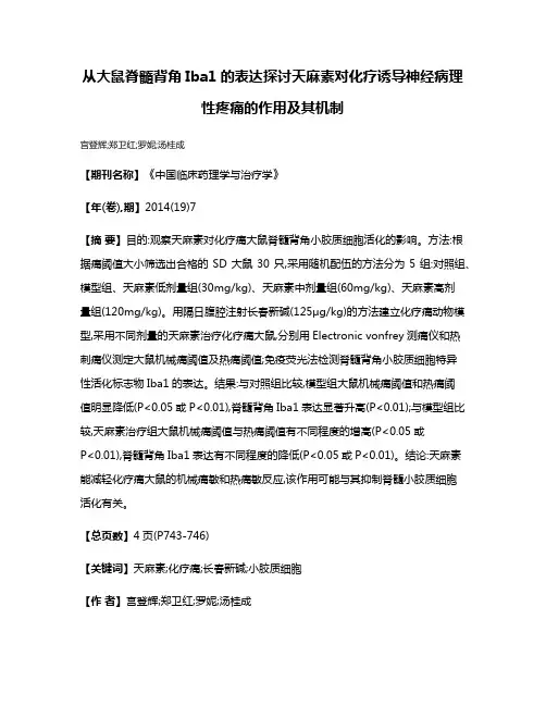 从大鼠脊髓背角Iba1的表达探讨天麻素对化疗诱导神经病理性疼痛的作用及其机制