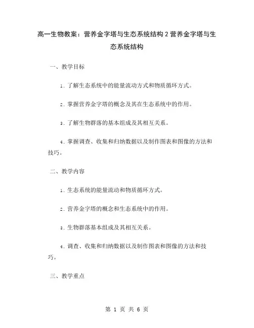 高一生物教案：营养金字塔与生态系统结构2