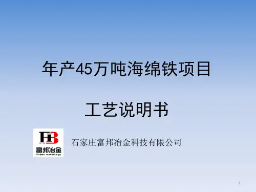 回转窑海绵铁项目中文(富邦冶金)