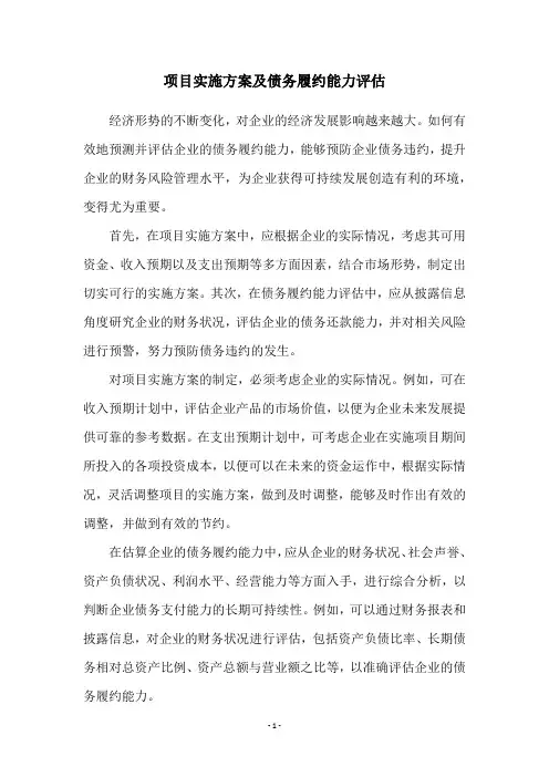 项目实施方案及债务履约能力评估