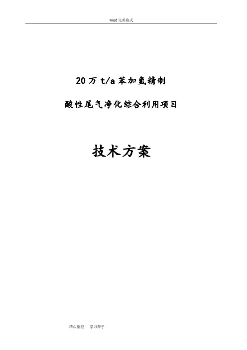 硫氢化钠工艺技术方案
