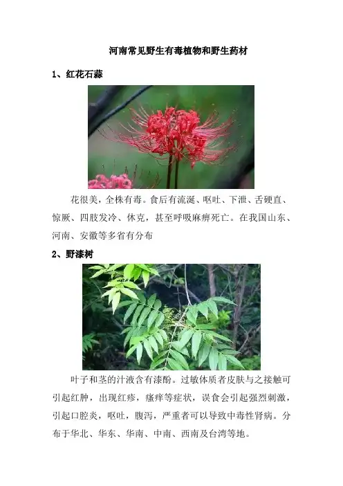 河南常见野生有毒植物和野生药材