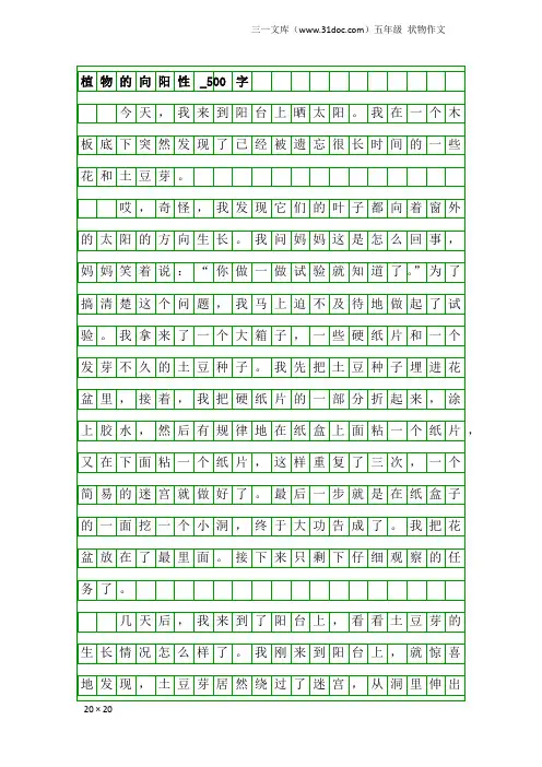 五年级状物作文：植物的向阳性_500字
