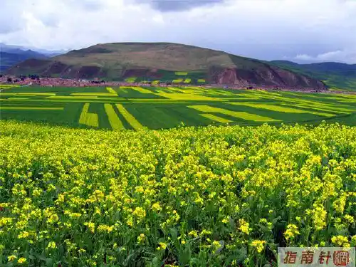 中国区域地理南方地区