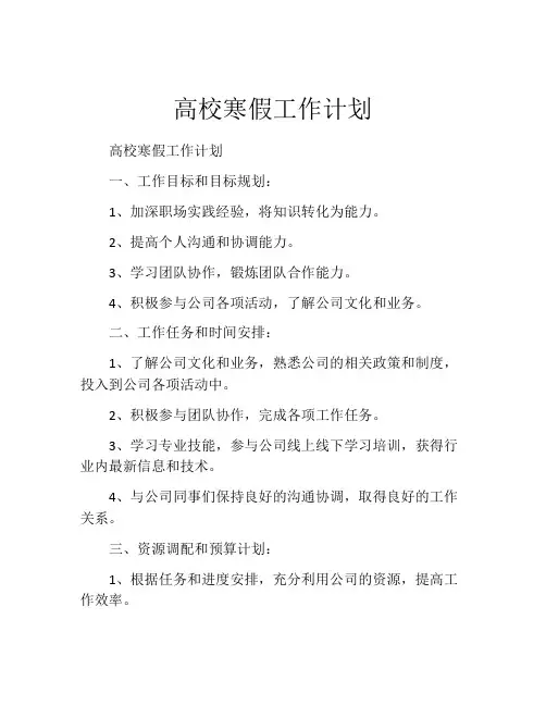 高校寒假工作计划