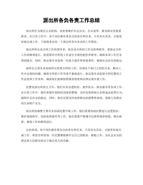 派出所各负各责工作总结