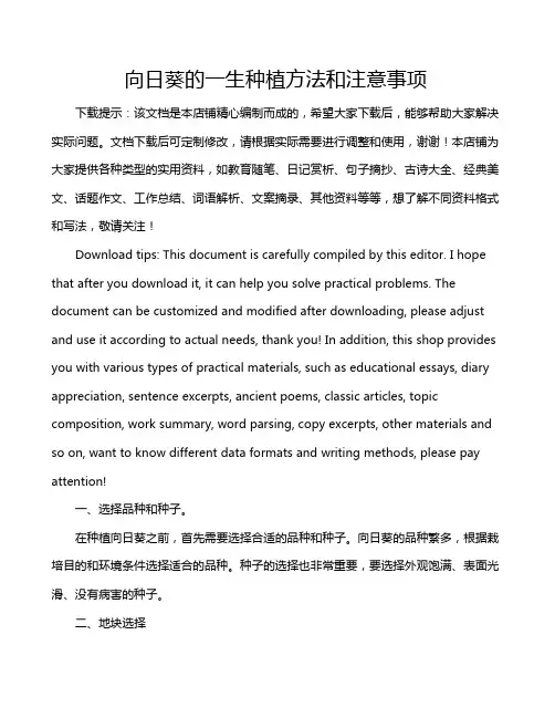 向日葵的一生种植方法和注意事项