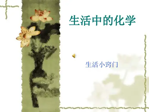 生活中的趣味化学[优质ppt]